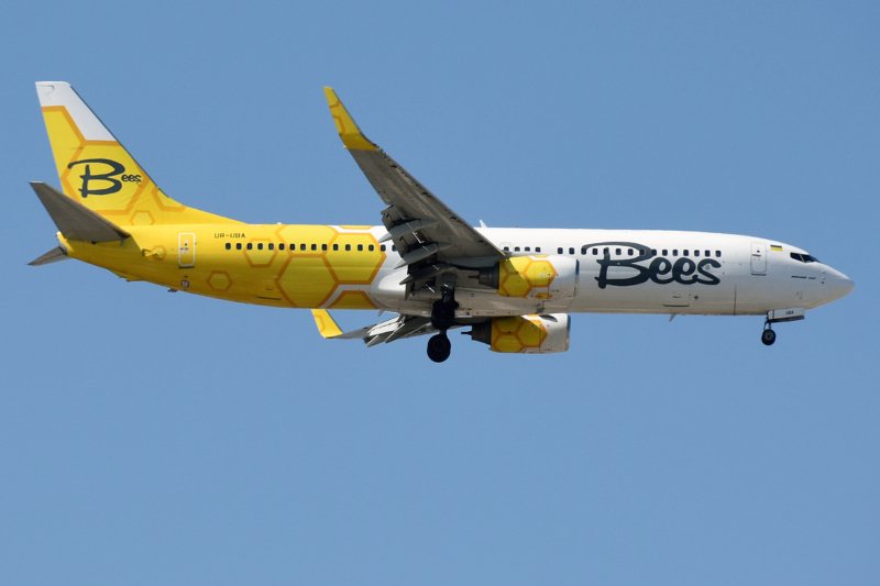 Bees Airline Boeing 737-800