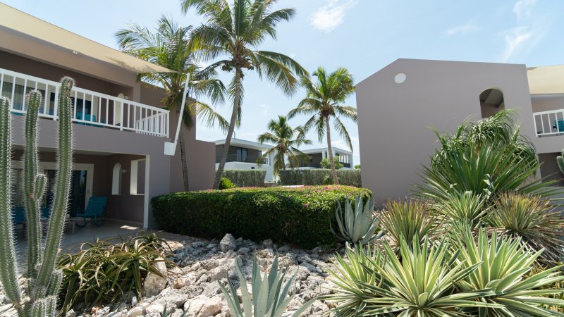 coral estate ocean view villa 19 37