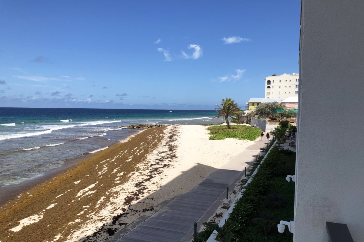 hotel indigo bridgetown barbados 35
