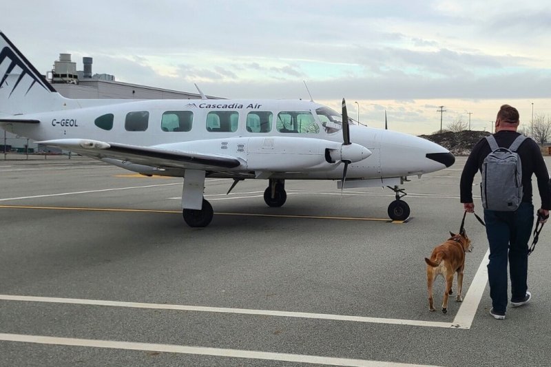 cascadia air piper pa 31 navajo