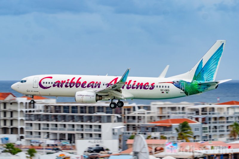 sint maarten spotting locations sonesta maho