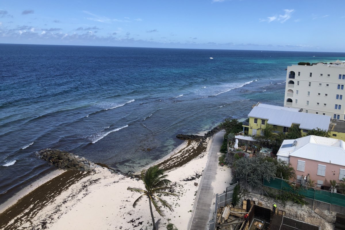 hotel indigo bridgetown barbados 26