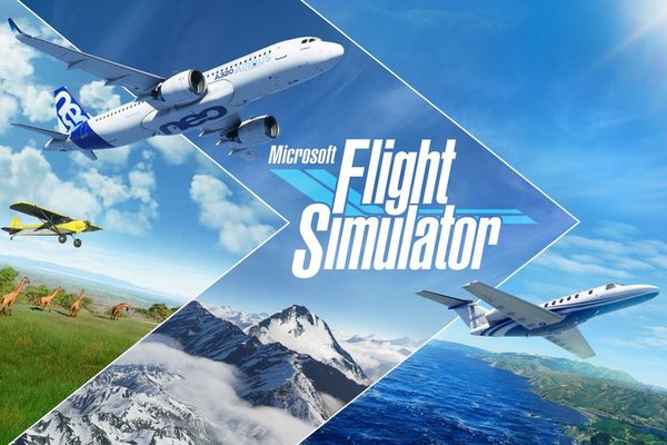 microsoft flight simulator 1