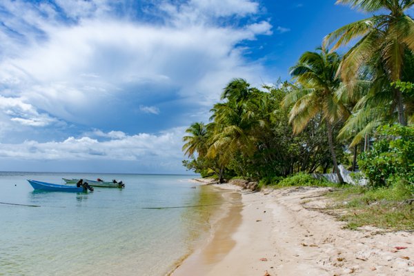 shoreline
