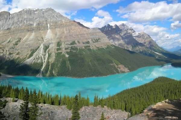Peyto Lake, Banff National Park, Canada
