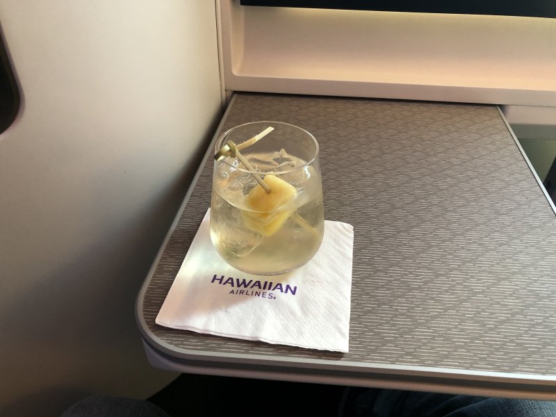 hawaiian airlines boeing 787 9 hnl sfo review 38