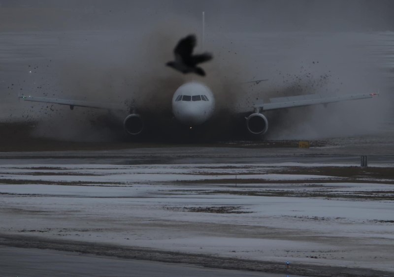Avion Express Airbus A320 LY NVL 01