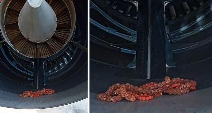 fiji airways beads engine