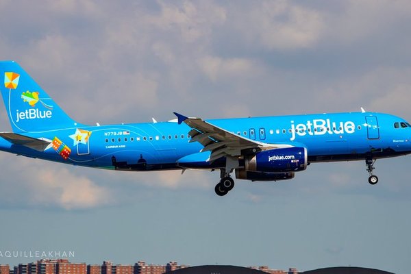 bluericua 1