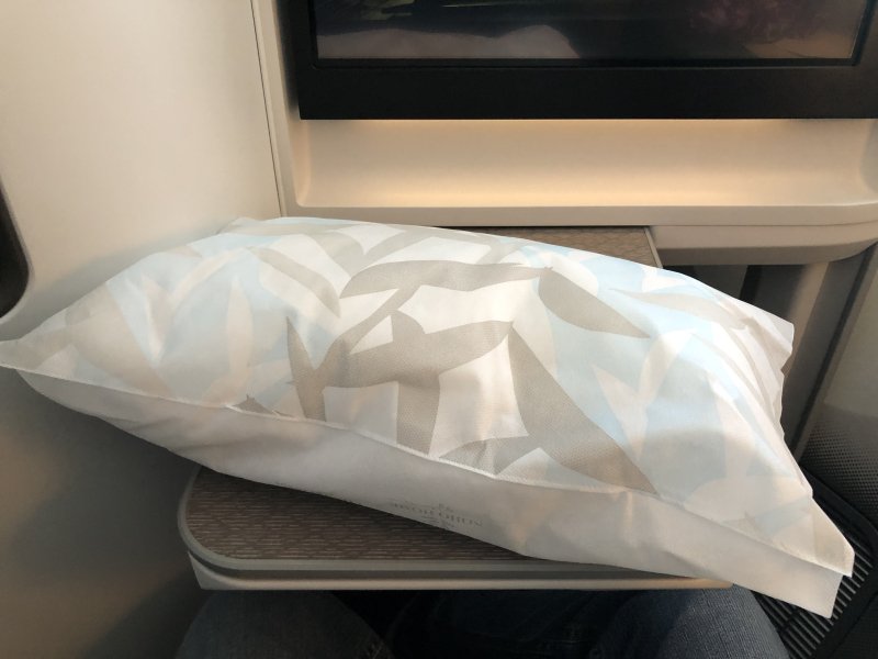 hawaiian airlines boeing 787 9 hnl sfo review 31